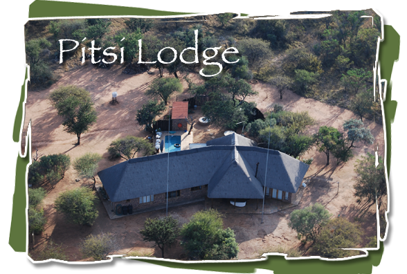 Pitsi Lodge